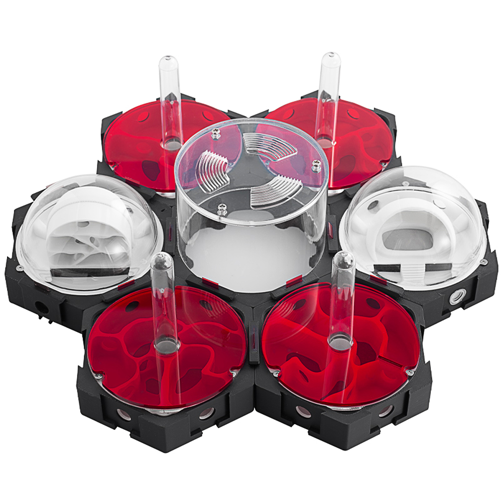 Begonia Rex - 3D Printing Ant Nest Infinitely Expandable