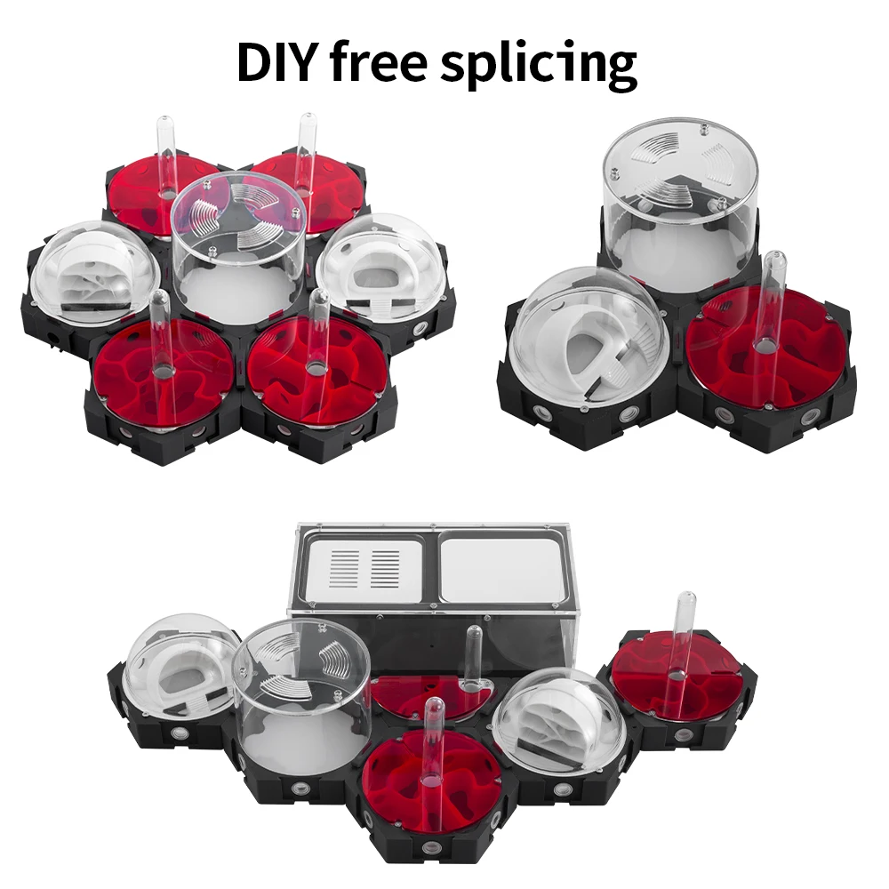 3D Printing Ant Nest Infinitel - Begonia Rex ulasan dan harga