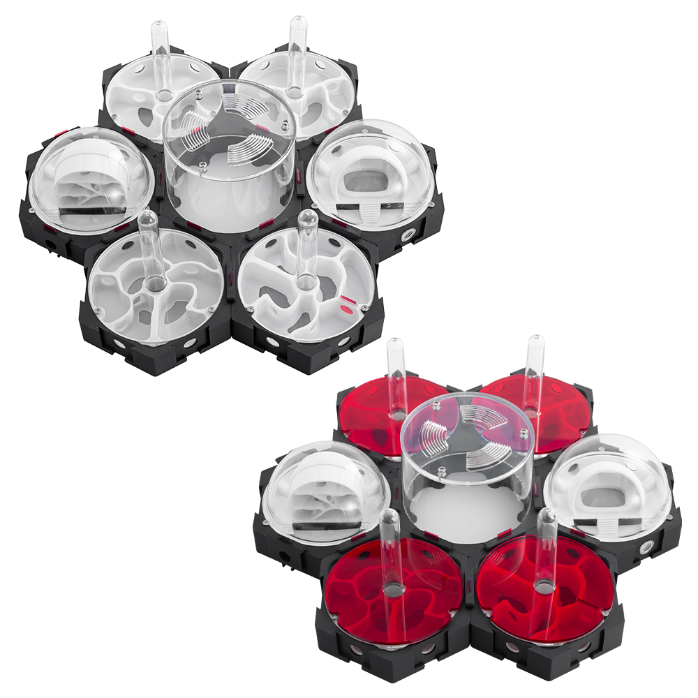 3D Printing Ant Nest Infinitel - Begonia Rex ulasan dan harga