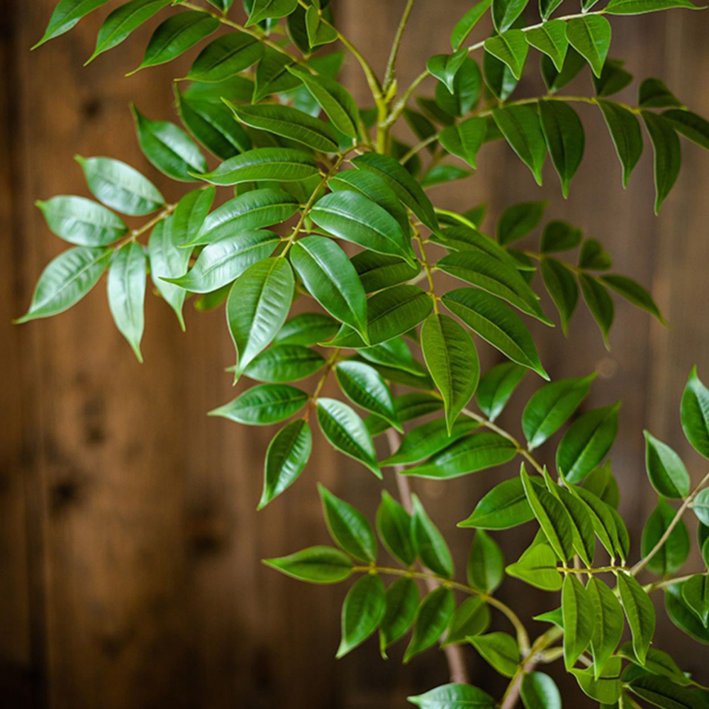 76-140cm Large Artificial Ficu - Ficus Lyrata Tree ulasan dan harga