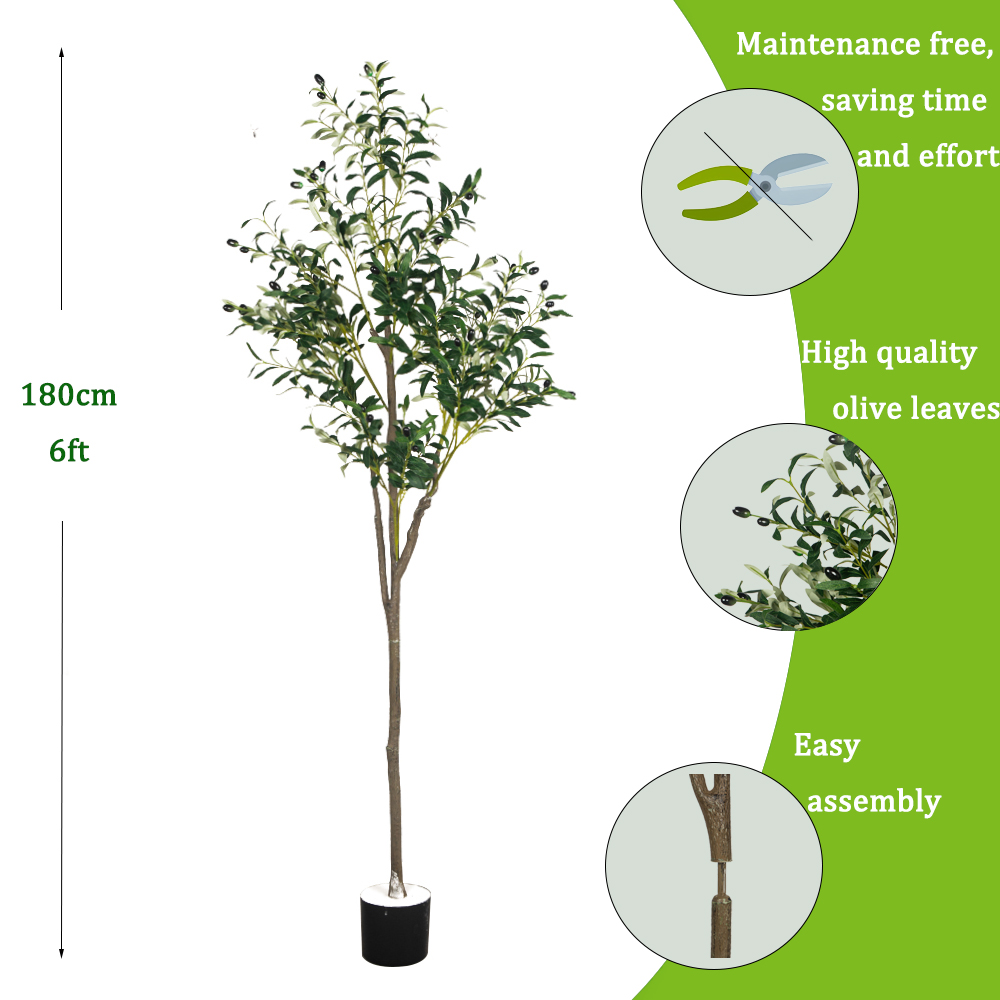 5/6ft Large Artificial Olive P - Dracaena Marginata ulasan dan harga