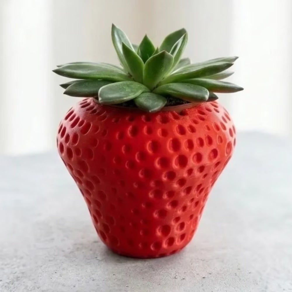 Plastic Fruit Flower Pot 3D Pr - Echeveria Succulent ulasan dan harga