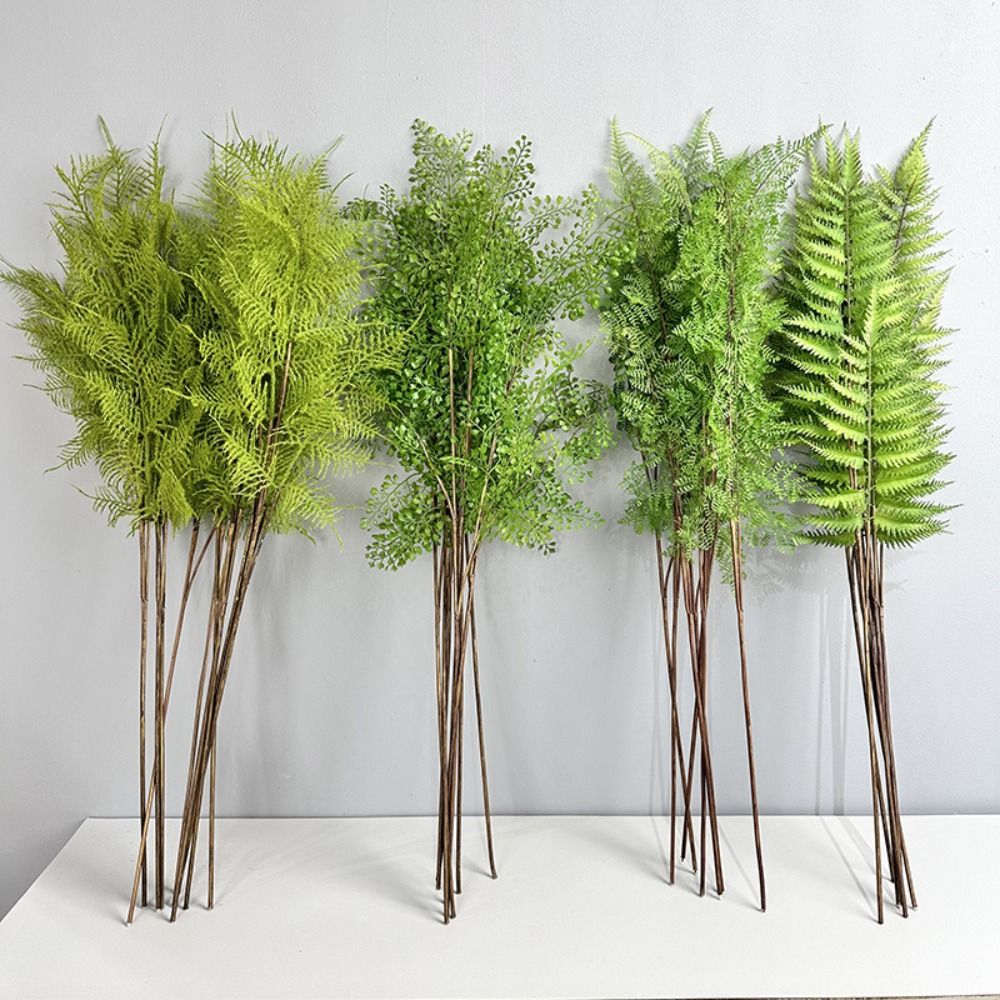 Realistic Artificial Fern Plan - Dracaena Marginata ulasan dan harga