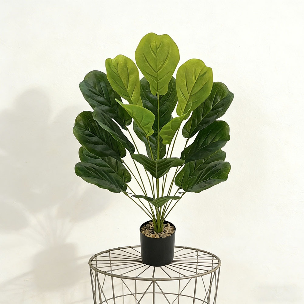 1pc of 75cm Artificial Ficus L - Ficus Lyrata Tree ulasan dan harga