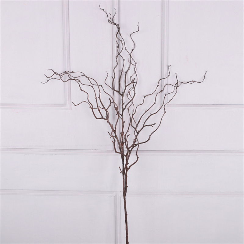 Simulation of 4-Fork Willow an - Dracaena Marginata ulasan dan harga