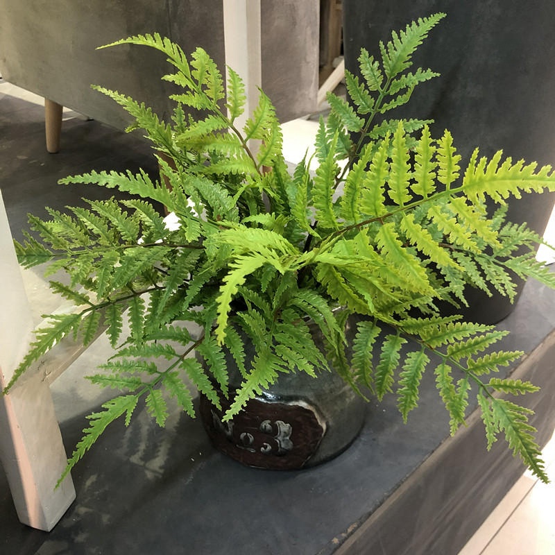 1pcs Artificial Plants Bedroom - Dracaena Marginata ulasan dan harga