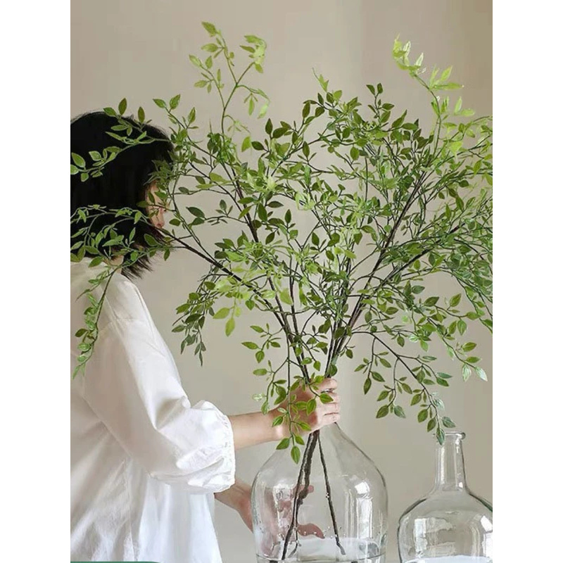 Artificial single branch3Artif - Dracaena Marginata ulasan dan harga